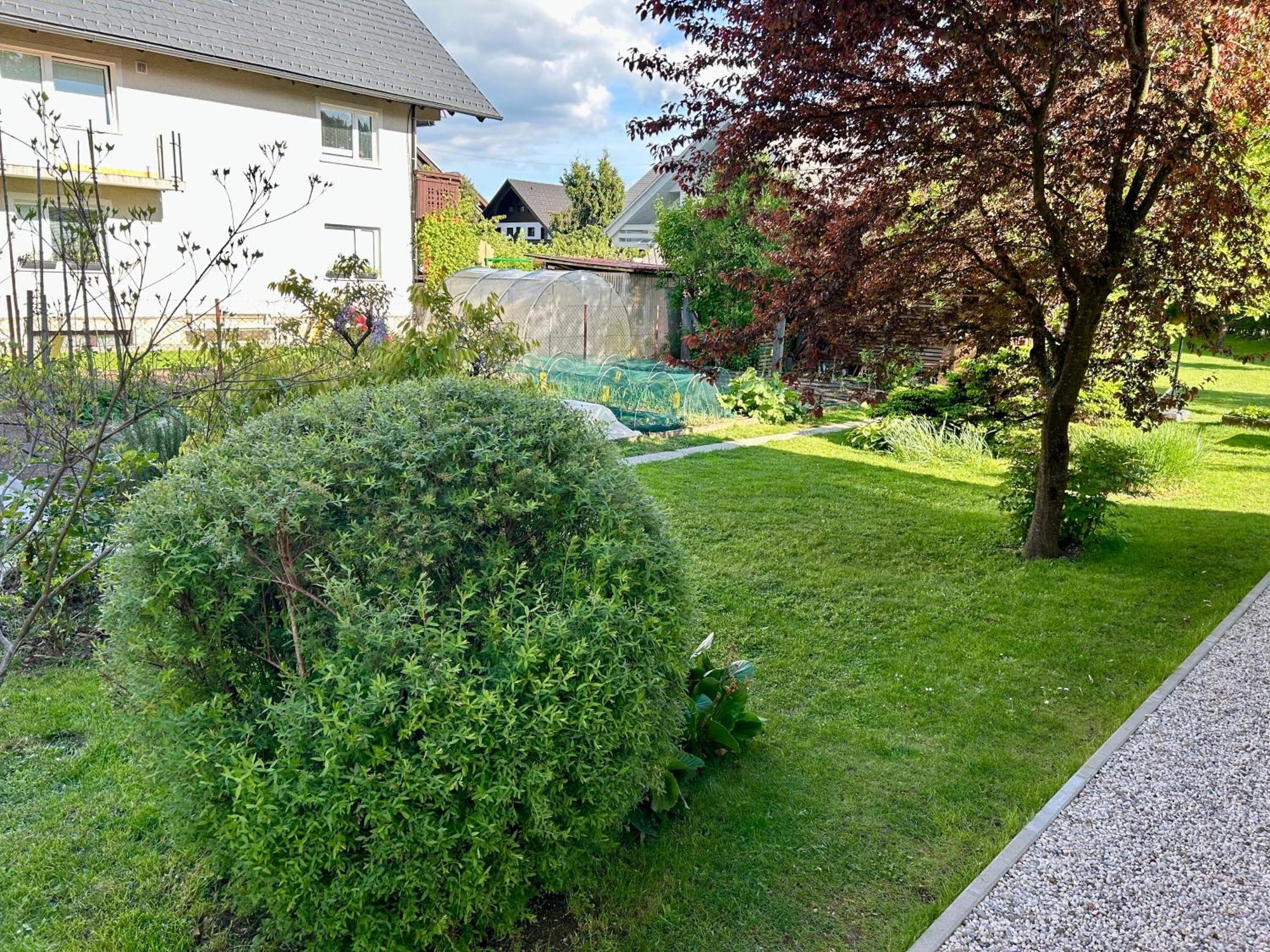 Apartment Gallus Bled Exteriér fotografie